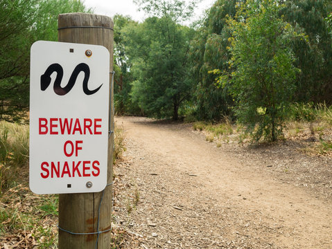 Snake Warning Sign By A Dirt Path In Hawthorn, Melbourne, Australia