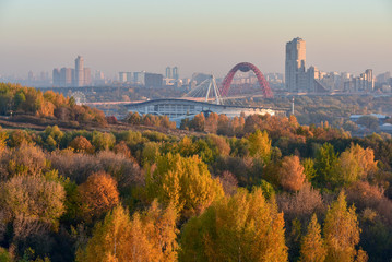 Skyline view to the Khoroshevo-Mnevniki District at dawn.