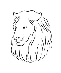 Lion proud, face in profile, looking into the distance, sketch, vector, black-and-white drawing