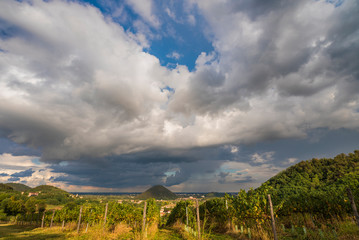 Fototapeta na wymiar Paesaggio collinare con vigne dopo il temporale