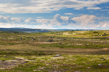 Tundra landscape in the north of Russia