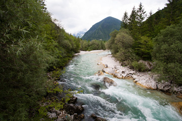 Fototapeta na wymiar Mountain river (Isonzo) with turquoise blue water running through the forest in Triglav national park (Slovenia) 