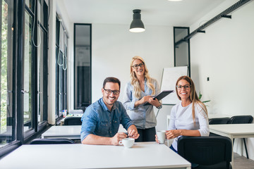 Portrait of a casual business team.