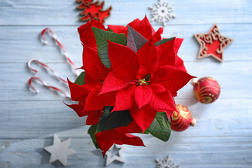 Christmas flower poinsettia with decorations on wooden table