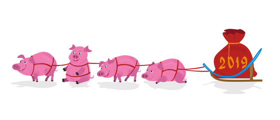 Pigs sled team and chrismas bag with numbers 2019.