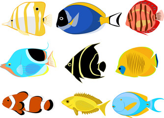 Naklejka premium coral fishes set