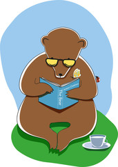 One Bear with glass read the book