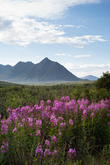 Fototapeta premium Tombstone Territorial Park
