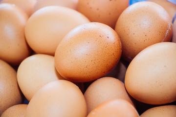 Fresh eggs from the farm ready to cook.