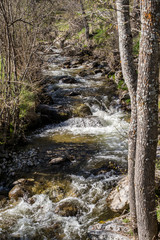 Obraz premium Rivière