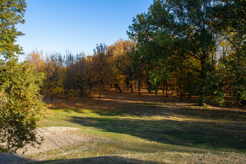 autumn in the park