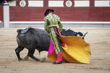 Bull and bullfighter in the ring