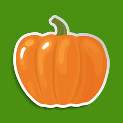 Halloween pumpkin sticker vector illustration. Pumpkin label on green background