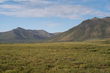 Fototapeta premium Tombstone Territorial Park
