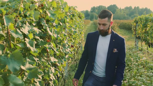 Man on vineyard with refractometer