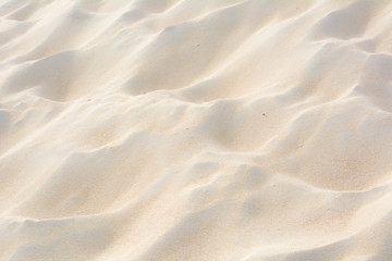 Fototapeta na wymiar Close-up Sand on the beach as background