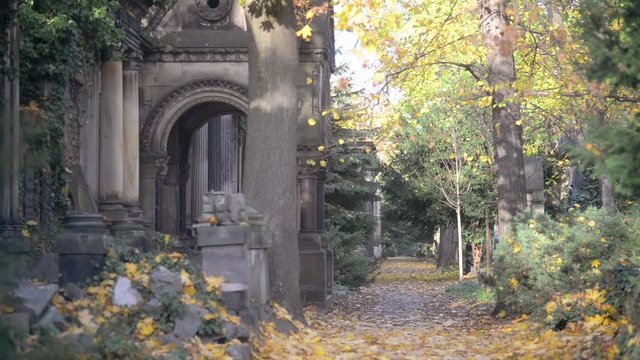 An old Jewish Cemetery in Wroclaw - Grave Slabs and Crypts overgrown with Ivy