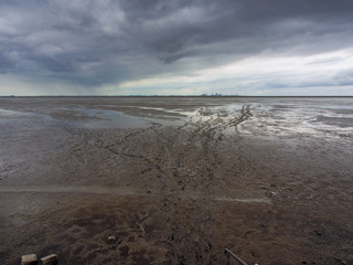 Nordseeküste bei Ebbe