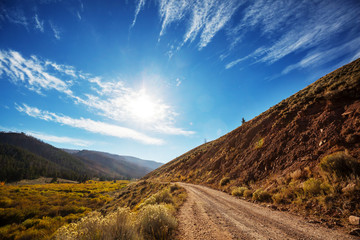 Autumn road