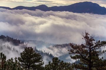 Fog in mountains