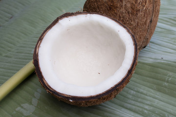 Close up of coconut on green background