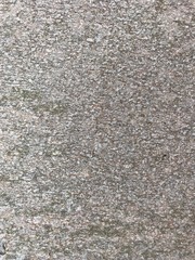 gneiss texture