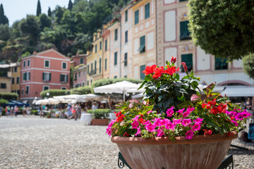 Fototapeta na wymiar Pot of flowers in the main square at Portofino harbour, Italy