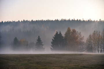 Fototapeta na wymiar Nebel über der Landschaft am Abend im Herbst