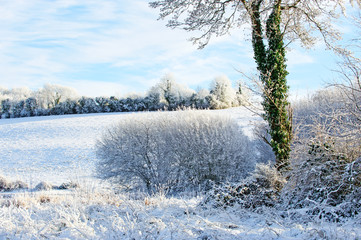 Winter season in Ireland Co. Cavan