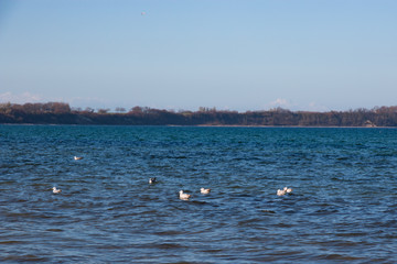 Ostseetraum 