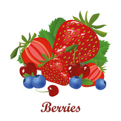 Berries vector illustration isolated on white background