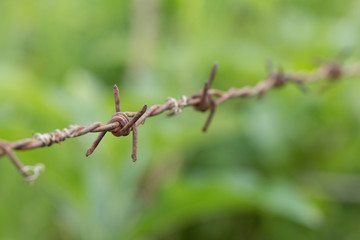 Close up of dirty barbed wire.