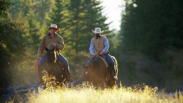 Working ranch hands riding horses in forest valley Canada
