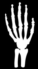 human hand skeleton silhouette on black