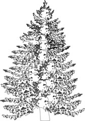 large fir black outline isolated on white