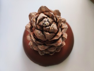 cone