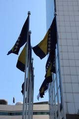 Sarajevo is the capital and largest city of Bosnia and Herzegovina.  Sarajevo, Bosnia and...