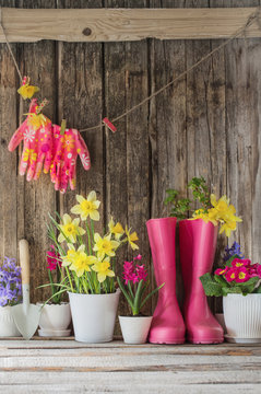 Fototapeta gumowe buty i wiosenne kwiaty na drewniane tła