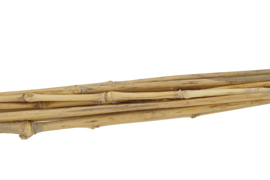 a bunch of dried bamboo