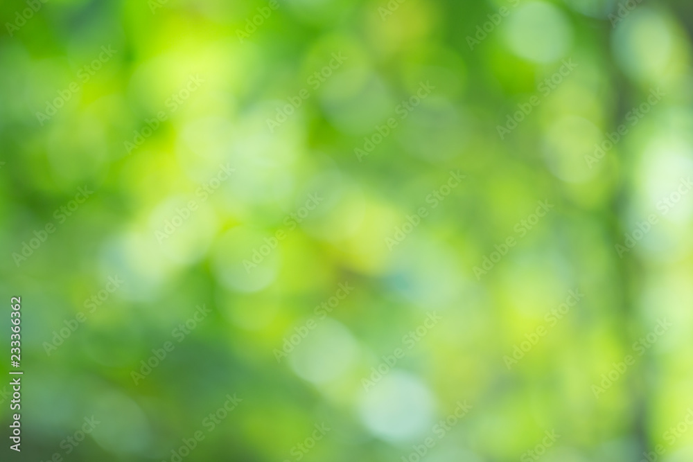 Poster green gradient blurred abstract background