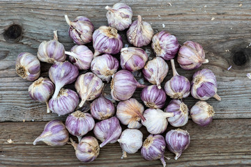 Garlic on wooden vintage background. Seedlings for planting garlic.