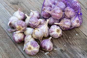 Garlic on wooden vintage background. Seedlings for planting garlic.