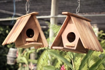 Bird house for sale