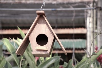 Bird house for sale