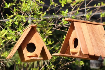 Bird house for sale