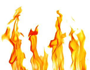 sparks of four yellow bright flames on white
