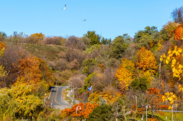 Bluffers Park Hill