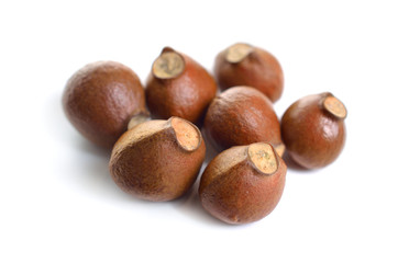 Nuts of Staphylea, or bladdernut. Isolated on white backgroumd