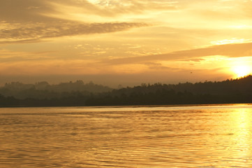 Obraz premium Golden light