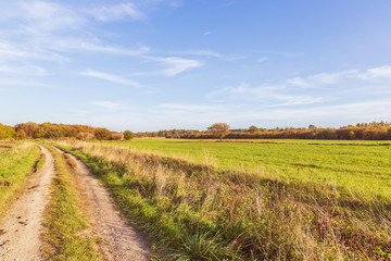 Obraz premium Rural landscape